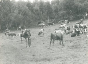 07
