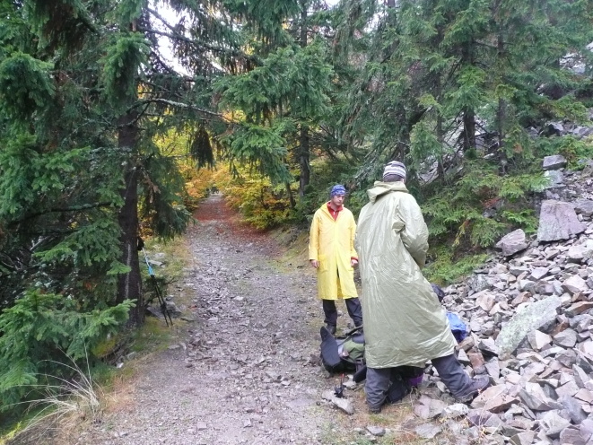 Nízké tatry (24)